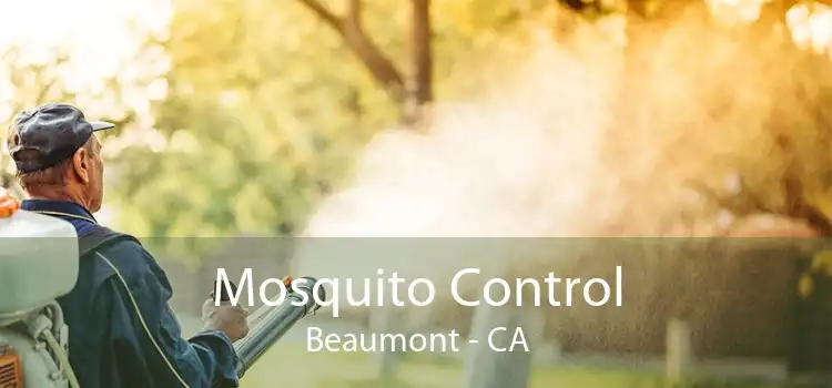 Mosquito Control Beaumont - CA
