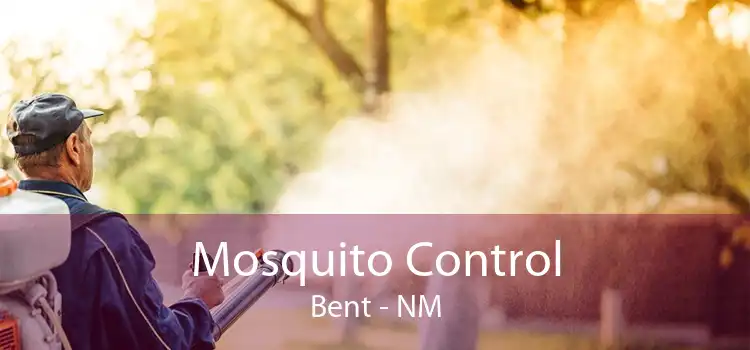 Mosquito Control Bent - NM