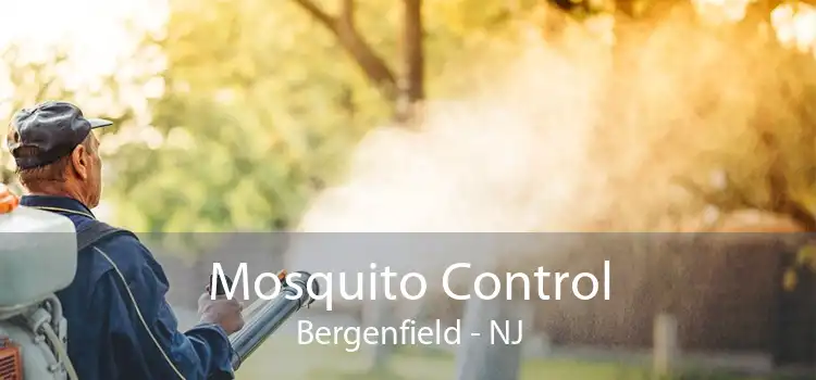 Mosquito Control Bergenfield - NJ