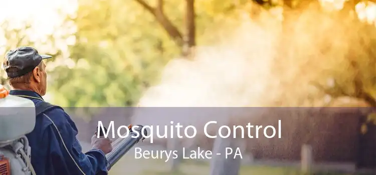 Mosquito Control Beurys Lake - PA