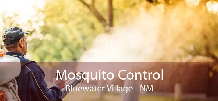 Mosquito Control Bluewater Village - NM