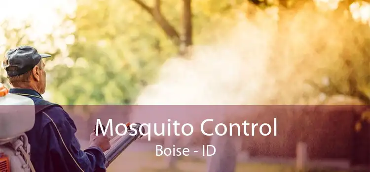 Mosquito Control Boise - ID