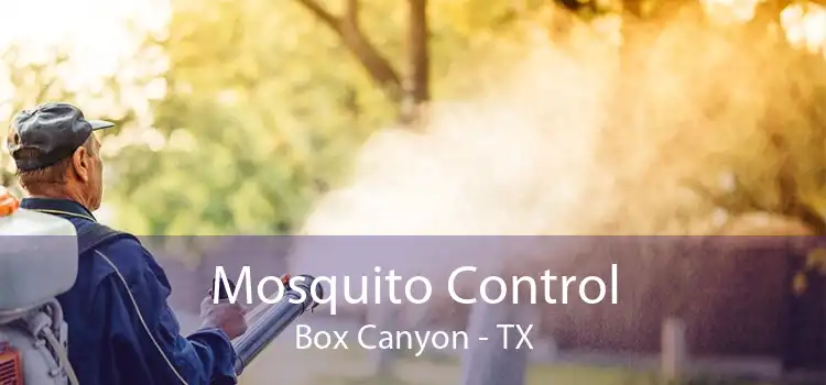 Mosquito Control Box Canyon - TX
