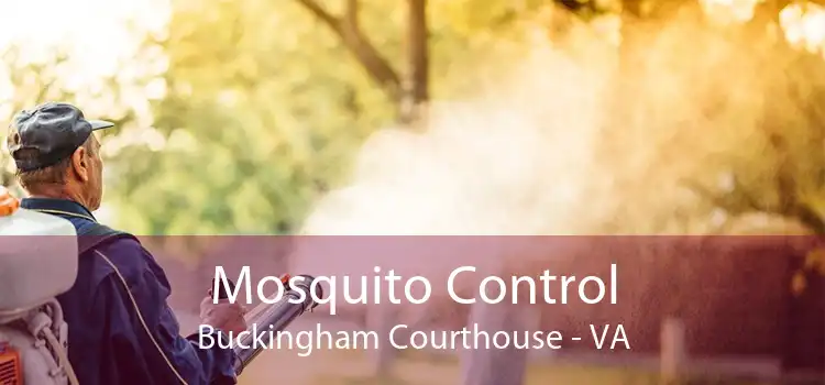 Mosquito Control Buckingham Courthouse - VA