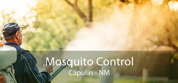 Mosquito Control Capulin - NM