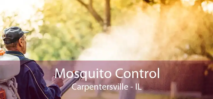 Mosquito Control Carpentersville - IL