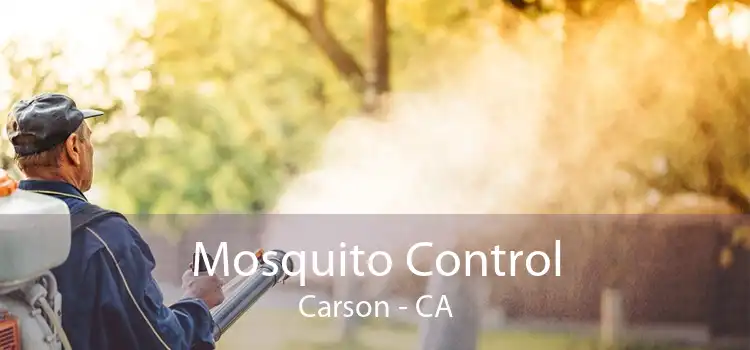 Mosquito Control Carson - CA