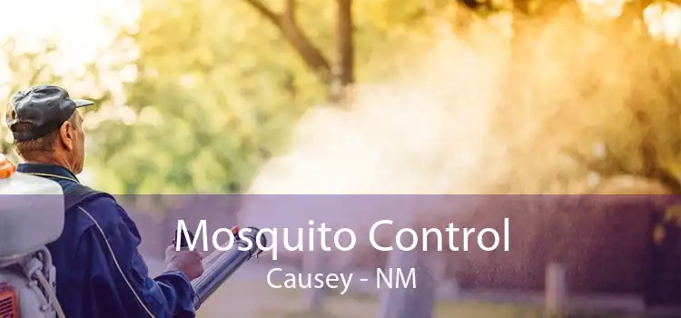 Mosquito Control Causey - NM