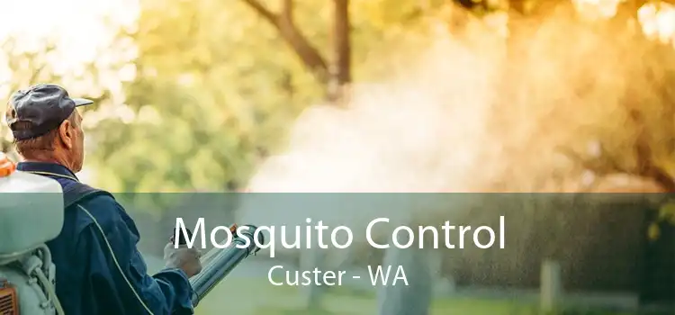 Mosquito Control Custer - WA