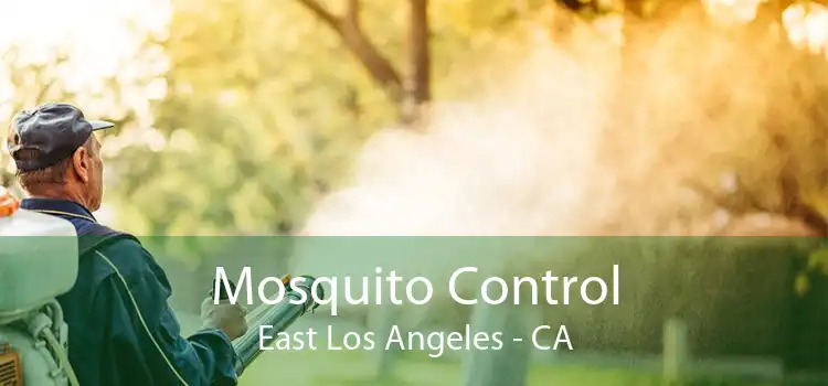 Mosquito Control East Los Angeles - CA