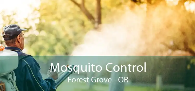 Mosquito Control Forest Grove - OR