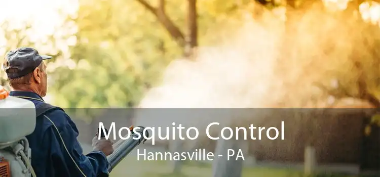 Mosquito Control Hannasville - PA