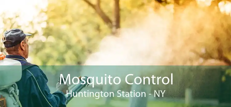 Mosquito Control Huntington Station - NY