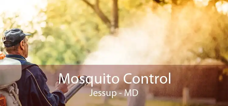 Mosquito Control Jessup - MD