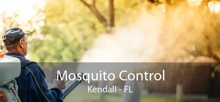 Mosquito Control Kendall - FL