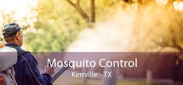 Mosquito Control Kerrville - TX