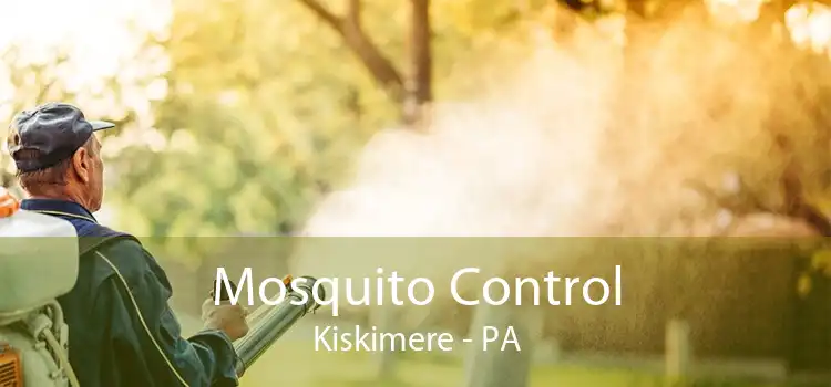 Mosquito Control Kiskimere - PA