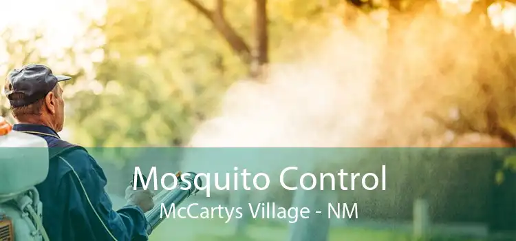 Mosquito Control McCartys Village - NM