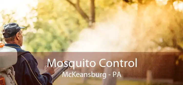 Mosquito Control McKeansburg - PA