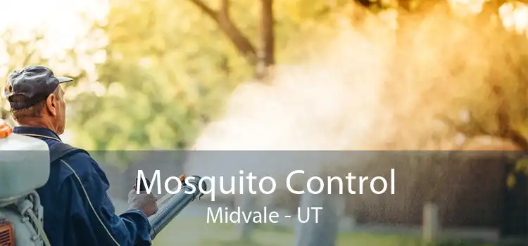 Mosquito Control Midvale - UT