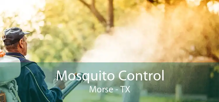 Mosquito Control Morse - TX
