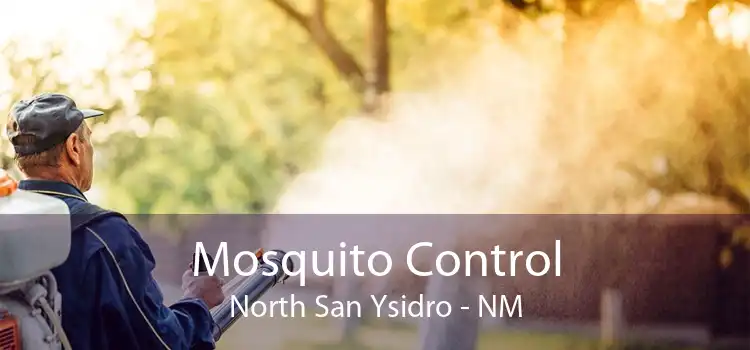 Mosquito Control North San Ysidro - NM