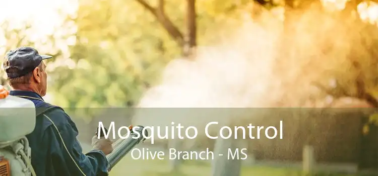 Mosquito Control Olive Branch - MS