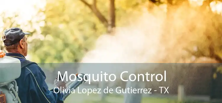 Mosquito Control Olivia Lopez de Gutierrez - TX