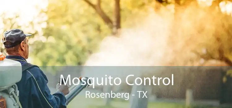 Mosquito Control Rosenberg - TX