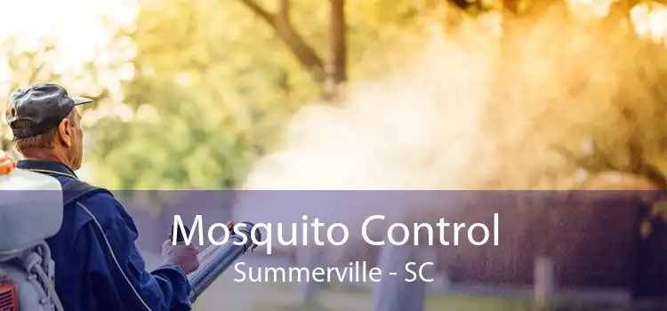 Mosquito Control Summerville - SC