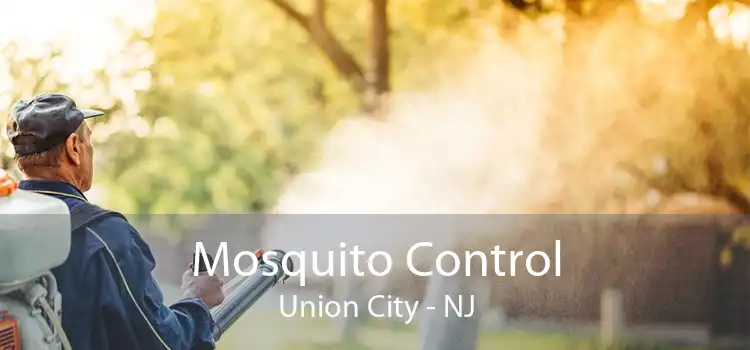 Mosquito Control Union City - NJ