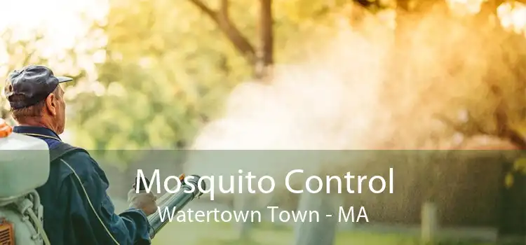 Mosquito Control Watertown Town - MA