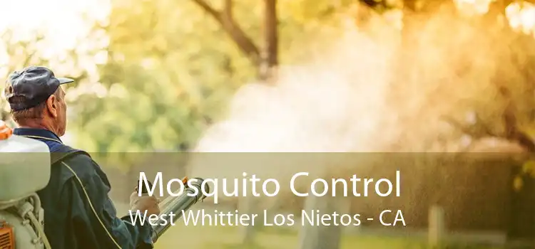 Mosquito Control West Whittier Los Nietos - CA