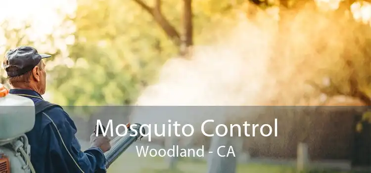 Mosquito Control Woodland - CA