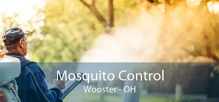 Mosquito Control Wooster - OH