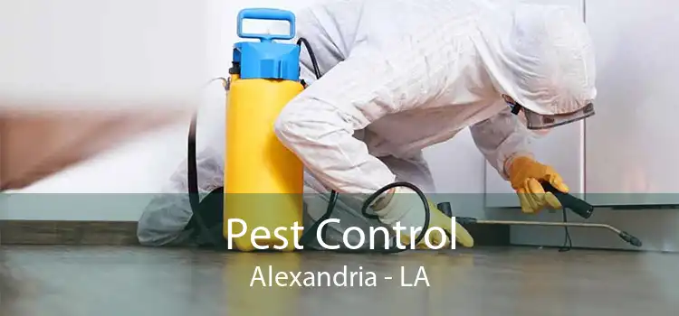 Pest Control Alexandria - LA