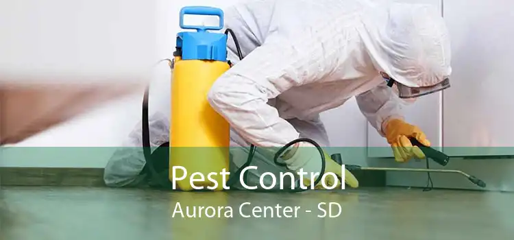Pest Control Aurora Center - SD