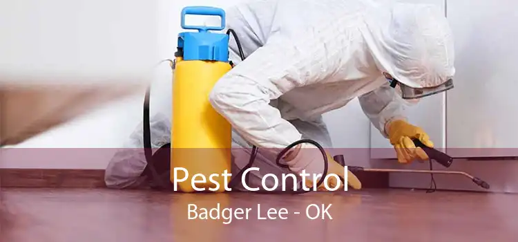 Pest Control Badger Lee - OK