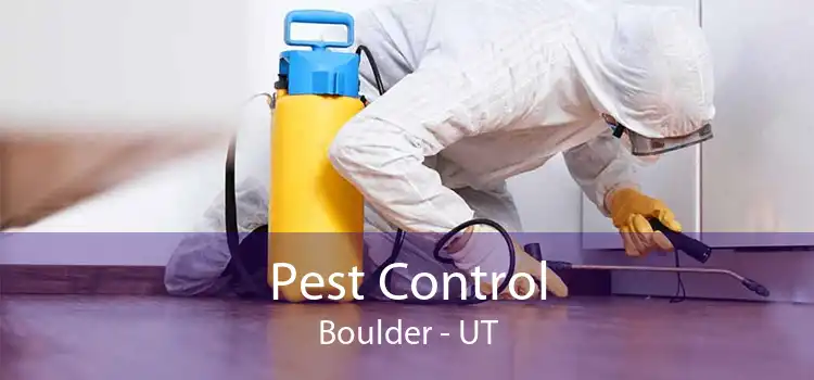 Pest Control Boulder - UT