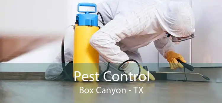 Pest Control Box Canyon - TX