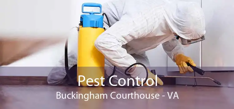 Pest Control Buckingham Courthouse - VA