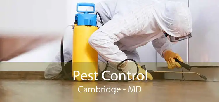 Pest Control Cambridge - MD