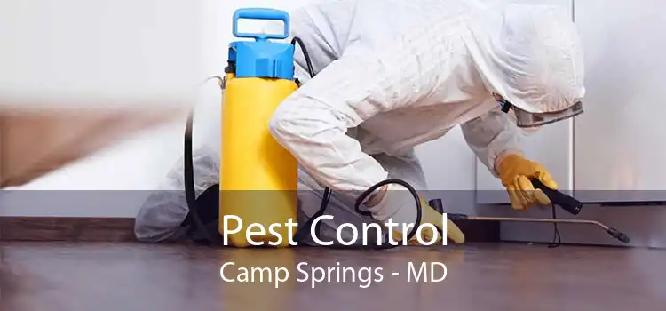 Pest Control Camp Springs - MD