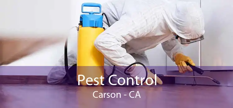 Pest Control Carson - CA