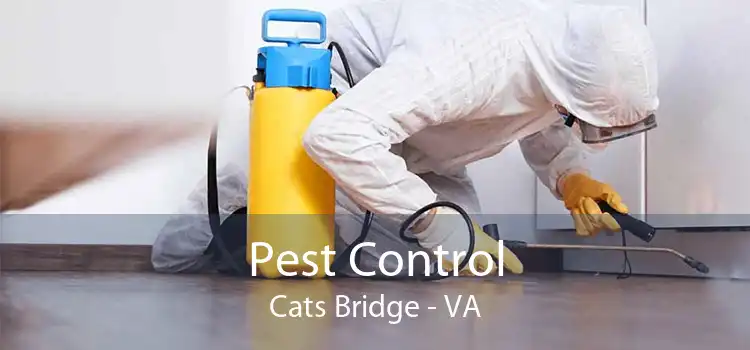 Pest Control Cats Bridge - VA