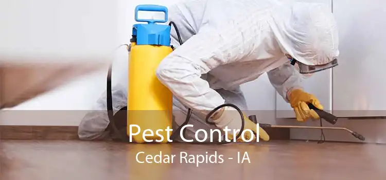 Pest Control Cedar Rapids - IA