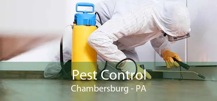 Pest Control Chambersburg - PA