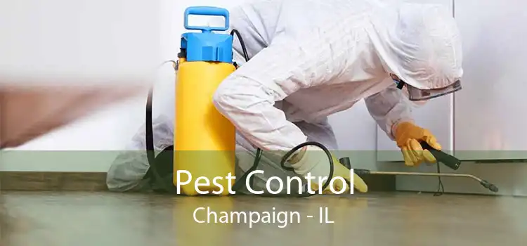 Pest Control Champaign - IL