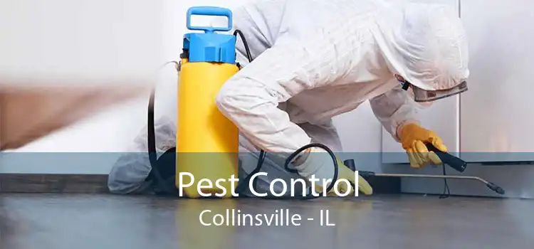 Pest Control Collinsville - IL