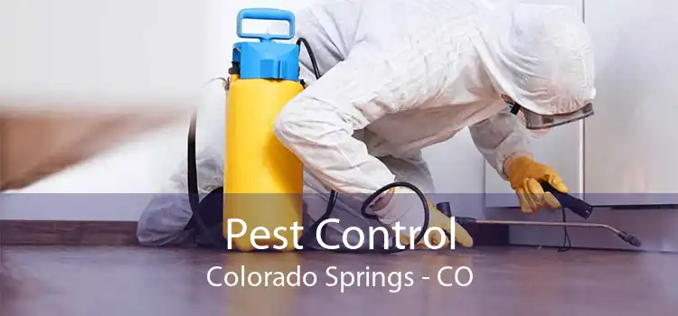 Pest Control Colorado Springs - CO